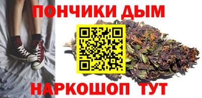 прущие грибы Можга