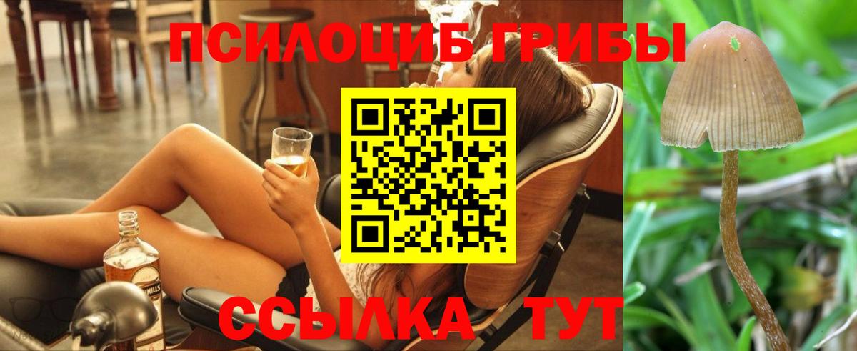 хочу наркоту  Вход с VPN  Галлюциногенные грибы GOLDEN TEACHER  Тихорецк  Псилоцибиновые грибы GOLDEN TEACHER 